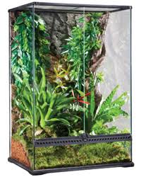 Exo Terra Glass Terrarium Medium X Tall 60x45x90cm Glass Terrariums Housing Blue Lizard Reptiles Reptile Shop