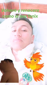 Volvere Como Ave Fenix