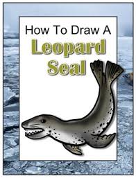 We offer you coloring pages that you can either print or do online, drawings and drawing lessons, various craft activities for children of all ages, videos, games, songs and even wonderful readings for bedtime. How To Draw A Leopard Seal By Drawing With John Tpt