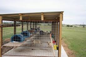 Maybe you would like to learn more about one of these? Building An Outdoor Dog Kennel Off 65 Www Usushimd Com