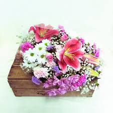 We did not find results for: Pink White Lily Rose Funeral Flowers In Cellophane Katherine S Florists