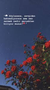 Hafise Turk Adli Kullanicinin Sozler Panosundaki Pin Gercekler Ozlu Sozler Metin Mesajlari