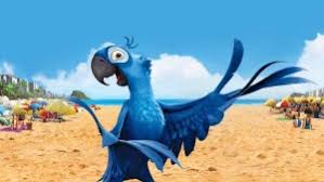 Allpeliculas peliculas online, descarga peliculas gratis, en allpeliculas podrás encontrar los últimos estrenos en alta definición (720p, 1080p, 4k). Nombre De Loros De Peliculas Para Nuestras Mascotas Nombres Para Todo