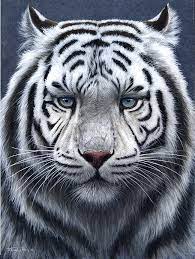 White Tiger Ghost Toucanvas Tiger Pictures White Tiger Tiger Artwork