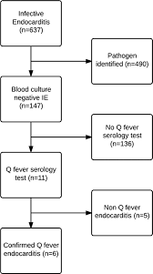 Flowchart Of The Infective Blood Culture Negative