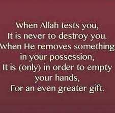 Pin On Islamic Quotes