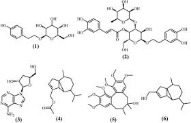 — quant aux yeux du plus petit, ils étaient trop fascinés pour exprimer autre chose qu'une joie stupide et profonde. Natural Medicines For The Treatment Of Fatigue Bioactive Components Pharmacology And Mechanisms Sciencedirect