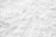 Explore white fur wallpaper on wallpapersafari | find more items about pink fur wallpaper, faux fur wallpaper, furry wallpaper for 900x471 white fur texture background by sweetsoulsister. White Fur Background Free Stock Photo Public Domain Pictures