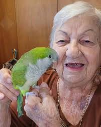 Annie Talamo Knobloch Obituary January 9, 2025