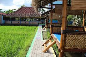• taruh beras, air dan garam dalam panci.hal pertama yang harus dipersiapkan adalah. 30 Ide Keren Gambar Rumah Gubuk Di Sawah Asiabateav