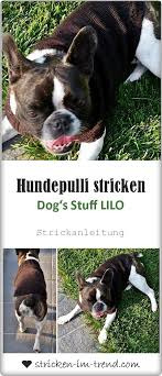 Pullover Fur Den Hund Stricken Diy Pulli Hunde Pullover Hundepullover Stricken Hundepullover