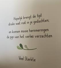 Pin Van Kristina De Schepper Op Handlettering In 2020 Geweldige Citaten Inspirerende Citaten Grappige Teksten