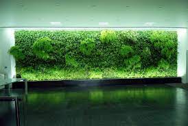 Pin On Green Wall
