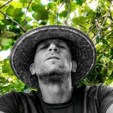 עצירחוב #עצים #מדינהירוקה