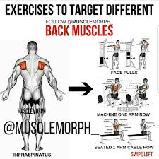 How to a build a thicker wider back aesthetic muscle. Back Muscles Training Big Muscle Training Back Muscles Back Exercises