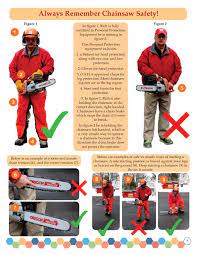 Chainsaw Safety, Part Iii: Unsafe Practices - Cornell Small Farms