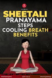 20 Benefits Of Sheetali Pranayama Basic Yoga Pranayama Hath Yoga