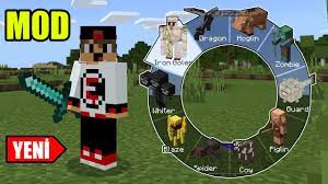 There are many vehicles with different features to choose from. Istediginiz Canliya Donusturen Mod Minecraft Youtube
