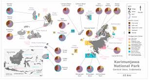 Yayasan cn di ci : Jmse Free Full Text Coral Reef Community Changes In Karimunjawa National Park Indonesia Assessing The Efficacy Of Management In The Face Of Local And Global Stressors Html