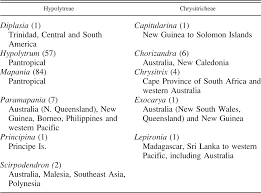 Image result for Hypolytrum goetghebeur