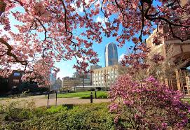 You have a good sense of what you want to achieve and the impact you want to make on the world. Duquesne University Home Facebook