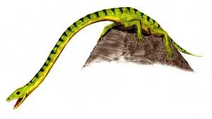 Kis Jurassic Park Volt A Ma Borairol Hires Villany A Dinokorban De Inkabb Tengeri Kivitelben Otmeteres Ragadozok Es Capak Uszkaltak Tengereben 200 Milli Ungarn