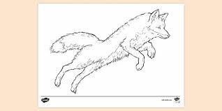 Introducing coloring pages of fox stories can give them an added advantage of memorizing and recollecting the story well. Free Realistic Fox Colouring Page Colouring Sheets