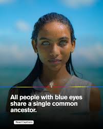 Can someone fix this photo?