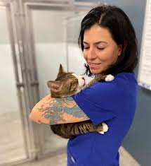 The veterinarian will discuss your pet's specific conditions and. In Home Pet Euthanasia Tucson Az Desert Paws Mobile Vet Care