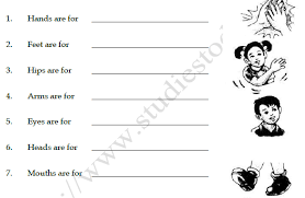 Worksheets are english activity book class 3 4, english test paper class i name class sec why did the, trinity gese grade 3 work 1, work date class subject evs lesson 1 topic, w o r k s h e e t s, 3rd grade jumbled words 2, english language arts reading. Cbse Class 3 English Practice Worksheet My Silly Sister Set B