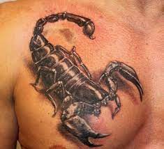 25 Scorpion Tattoo Designs Ideas 1 Tattoo S Life Skorpion