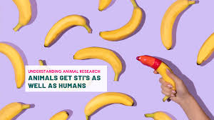 Can Dogs Get Stds?
