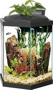 Premium Led Hexagon Aquarium Kit With Plant Cup Fishtank Aquariums Tropical Fish Tanks Hexagon Fish Tank Aquarium Kit