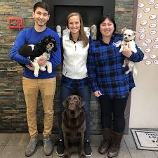 Dogwood animal hospital & pet resort is the place for you if you happen to live in brandon, ms or the surrounding areas. Meet Our Caring Pet Care Team Dogwood Acres Pet Retreat
