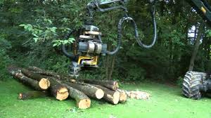 Odenwald Country Fair Im Englischen Garten Zu Eulbach Youtube