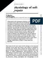 Felicia tissue menyebut viral foto mesra kaesang pangarep dengan karyawan sebagai badai besar sebelum perayaan ulang tahunnya. Reticulocyte Index Wikipedia The Free Encyclopedia Tissue Biology Biology