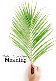 The Meaning Of Palm Sunday Palm Sunday Decorations Palm Sunday Crafts Palm Sunday Activities