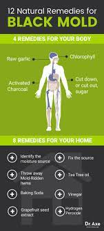 How mold exposure affects your health. 9 Mold Mycotoxins Ideas Mold Exposure Toxic Mold Mold Remover
