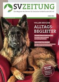 Im alter von 18 monaten ist der ds körperlich ausgewachsen. Plxzalsgp7iyam