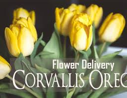 Norfolk, va flower arrangements for any occasion. The 8 Best Options For Flower Delivery In Norfolk Virginia 2021