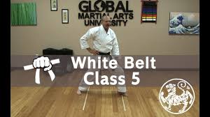 Tsukino kata of 1000 fists. Shotokan Karate Beginner Kata Class 9th Kyu White Belt Class 5 Youtube
