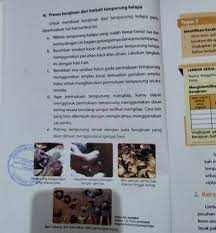 Bahan Limbah Keras Organik Guru Galeri