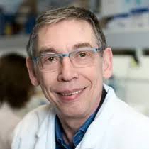 Divergent local and systemic antitumor response in primary uveal melanomas 