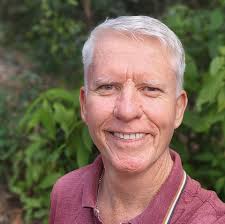 Heliconia mosquito breeding concerns