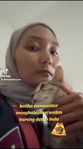 🐈💕 Trying to bonding with stray cat after ±2 weeks . #straycat #petsitter  #petsitterjogja #catsitter #catsitterjogja #fursitter