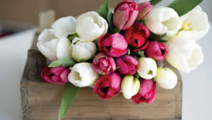 The Cool, Tasty, Medicinal Cannabis of OK Nice Cream