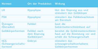 Welche Hormone Den Weiblichen Zyklus Bestimmen