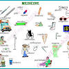 Learn, practice, translate, pronounce, chat, conjugate verbs, vocabulary and expressions. 1