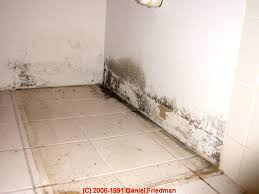 Maybe you would like to learn more about one of these? Bathroom Mold Mold In Bathrooms On Tile And Other Surfaces Bathroom Mold Detection Testing Mold Cleanup Bathroom Mold Prevention Guide