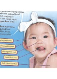 Sains tingkatan 3 kssm i bab 1 rangsangan dan gerak balas i1 3 rangsangan gerak balas dlm tumbuhan. Bab 1 Tingkatan 3 Rangsangan Dan Gerak Balas Quiz Quizizz